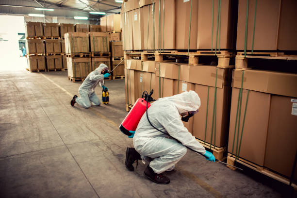 Best Termite Control Services  in Bruceville Eddy, TX