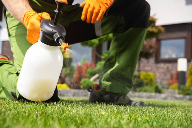Pest Control Cost in Bruceville Eddy, TX