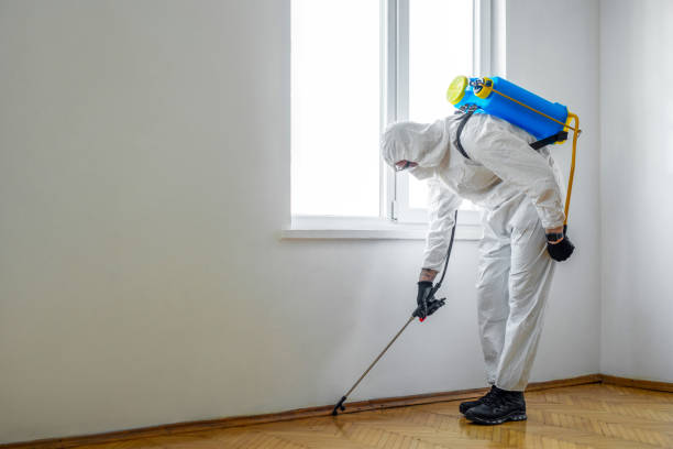 Best Affordable Pest Control Services  in Bruceville Eddy, TX